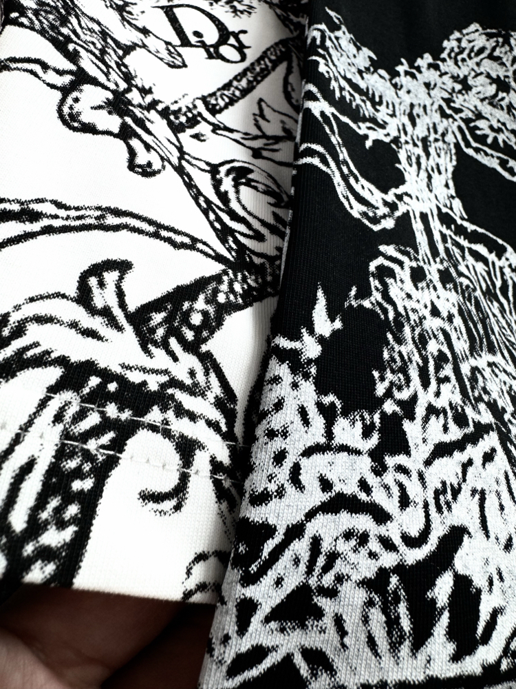 Dıor Two-Tone Ink Painting Print with Embroidery T-shirt