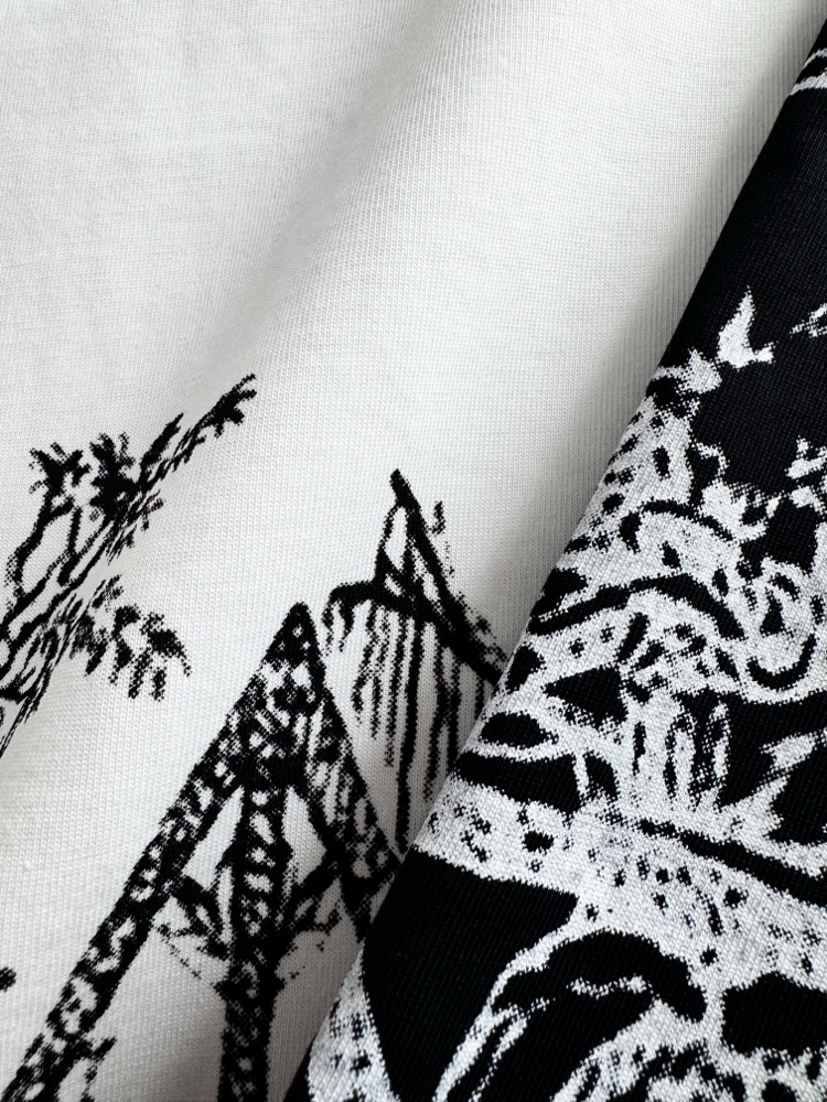 Dıor Two-Tone Ink Painting Print with Embroidery T-shirt