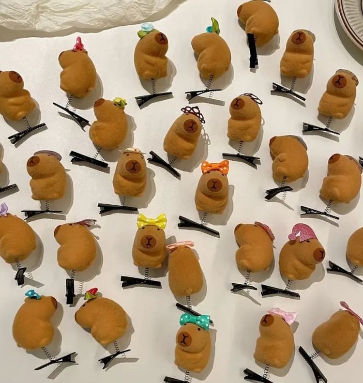 Capybara Toka | Adet