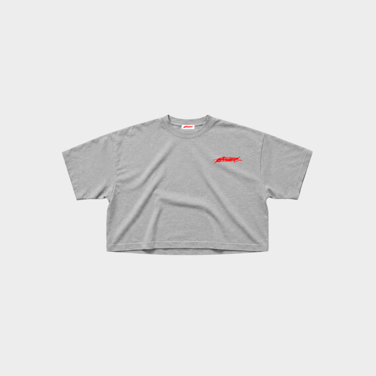 Ash Bat Compass T-shirt