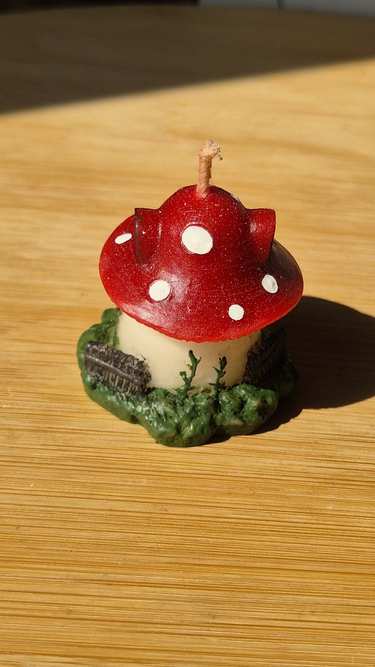 Little fairy house