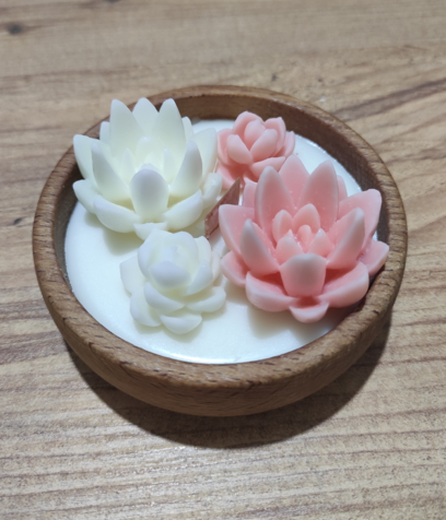 Succulent