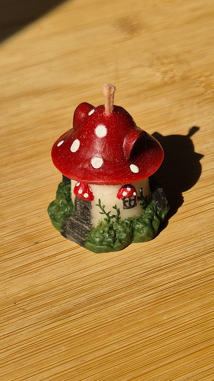 Little fairy house