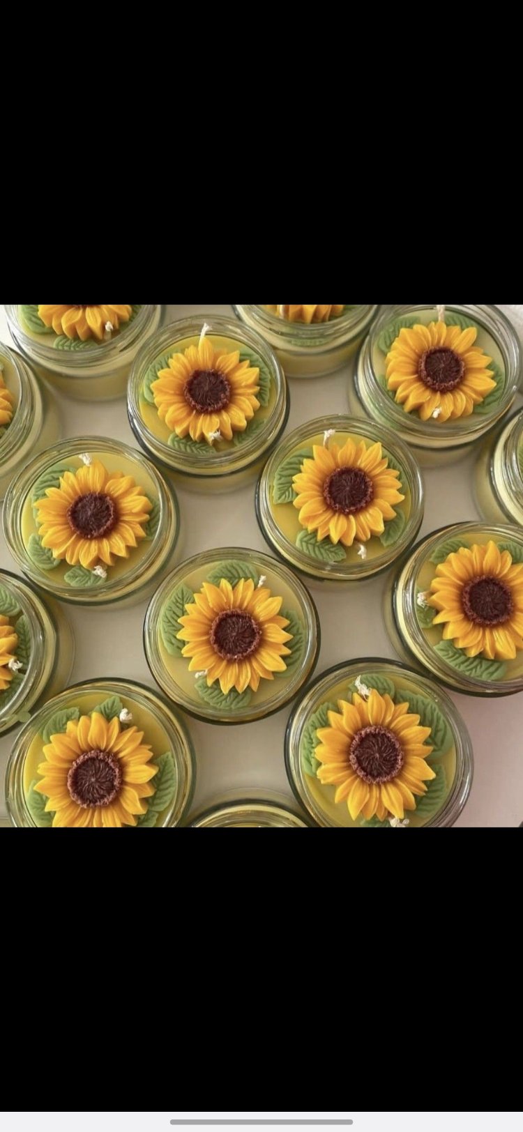 Sunflower kavanoz mum