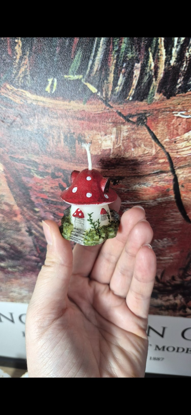 Little fairy house