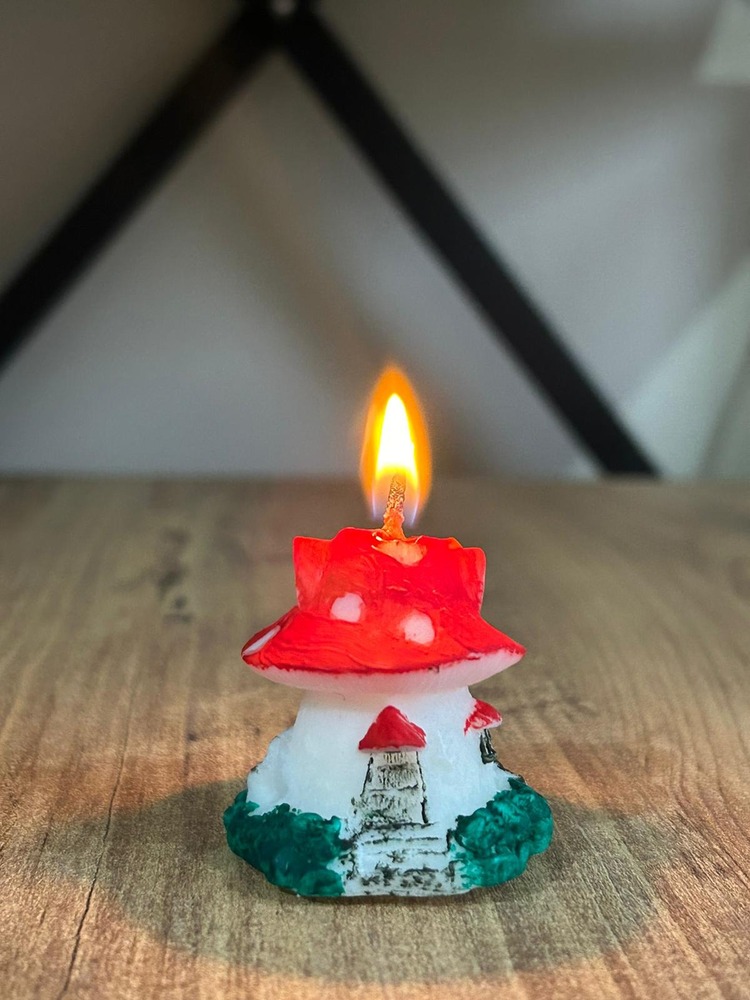 Little fairy house