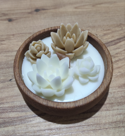 Succulent