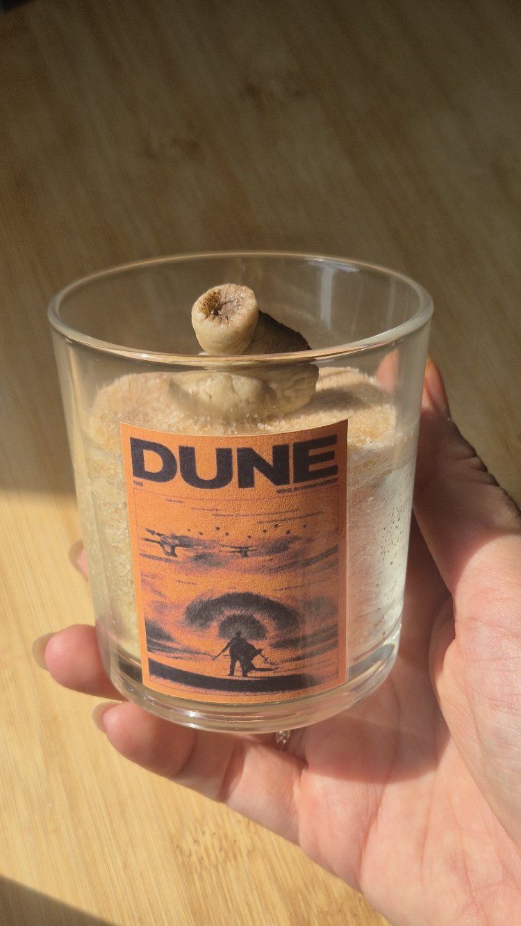 Dune Mum