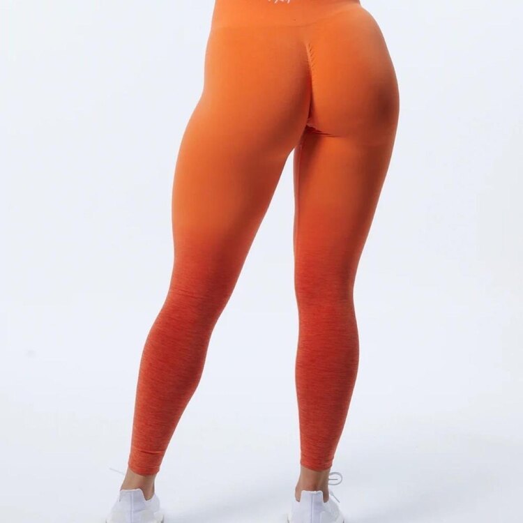 Alphalete Ombré Büzgülü Tayt