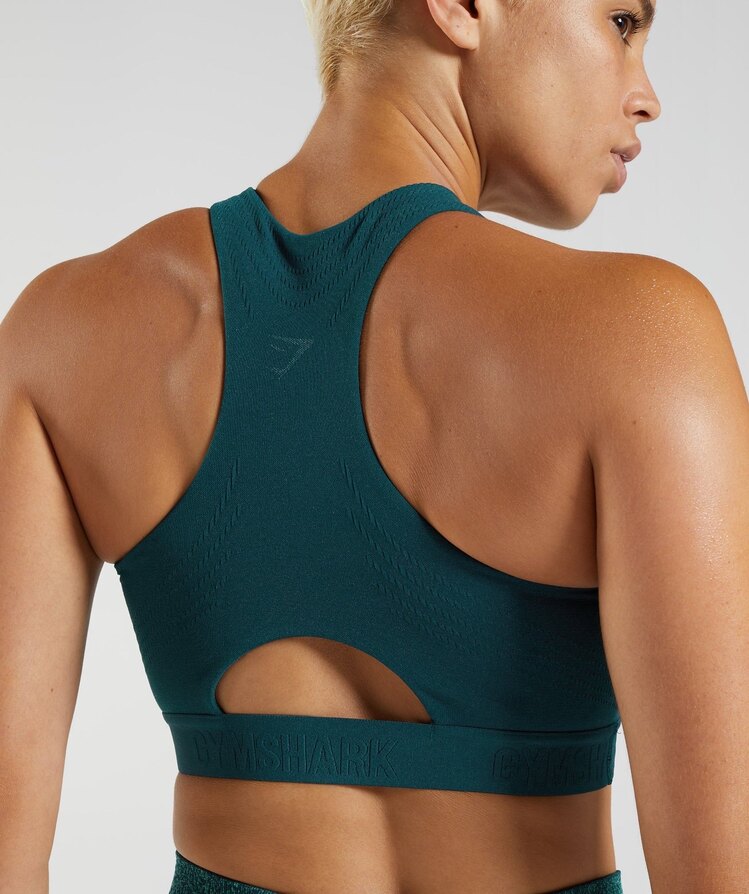 Gymshark 315 performance bra