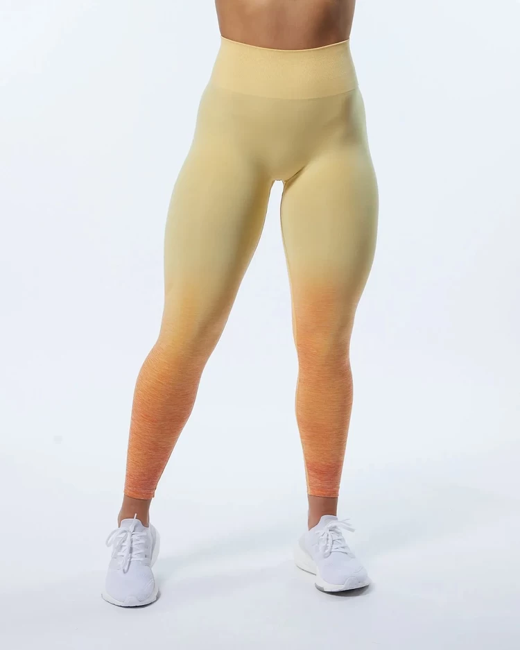 Alphalete Büzgülü Tayt Ombre