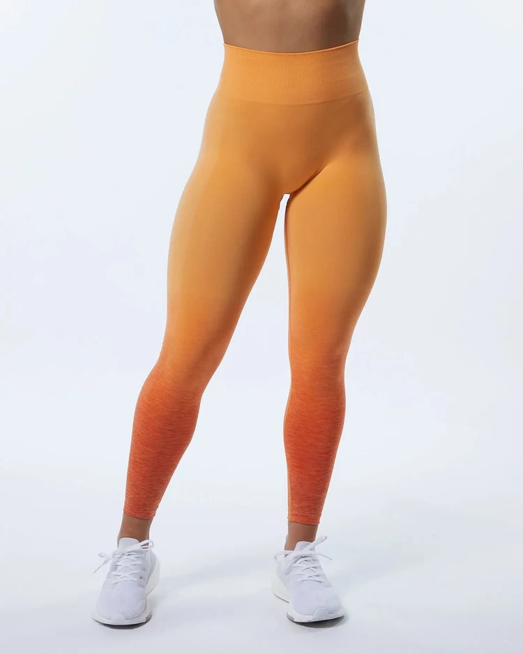 Alphalete Büzgülü Tayt Ombre