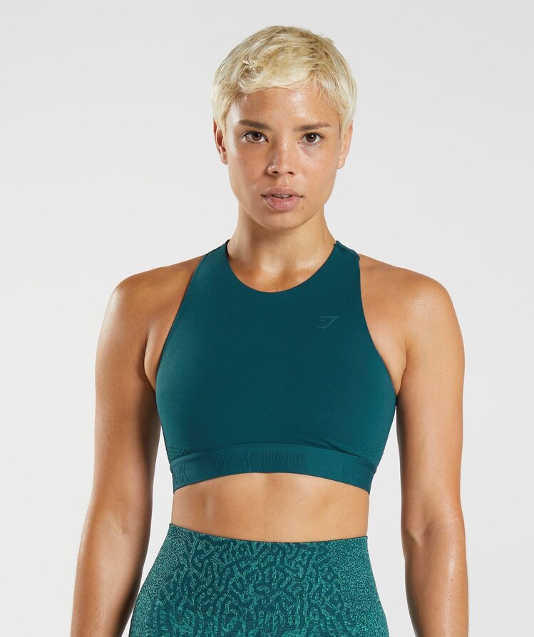 Gymshark 315 performance bra