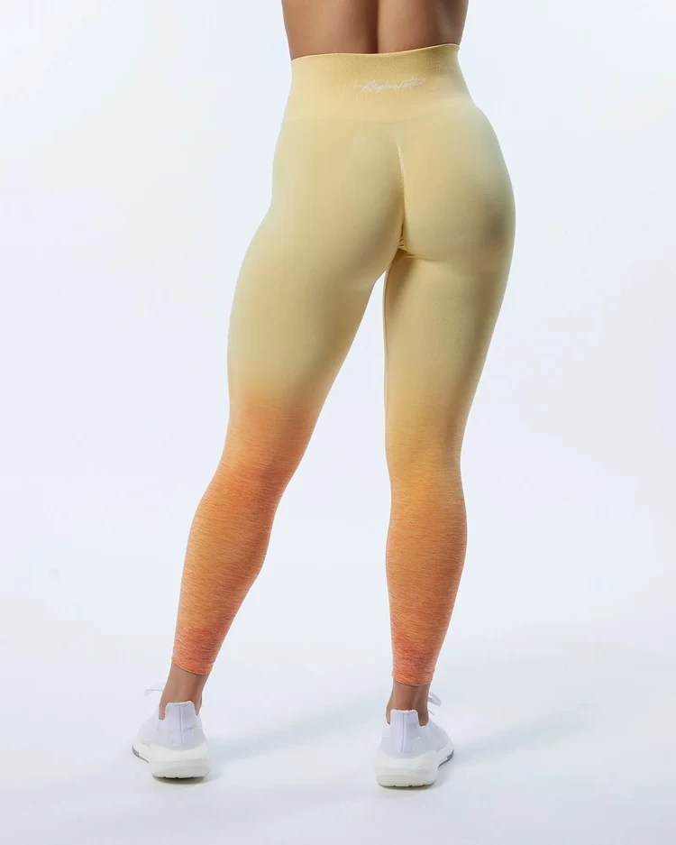 Alphalete Büzgülü Tayt Ombre