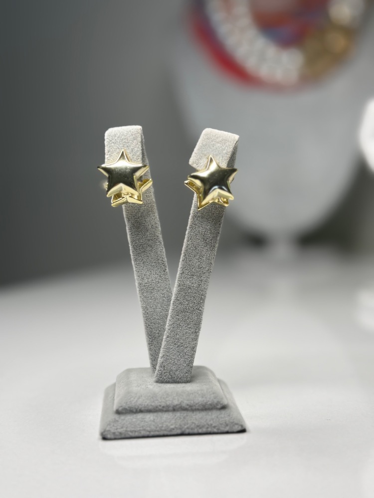 Tabir Yıldız Gold Küpe