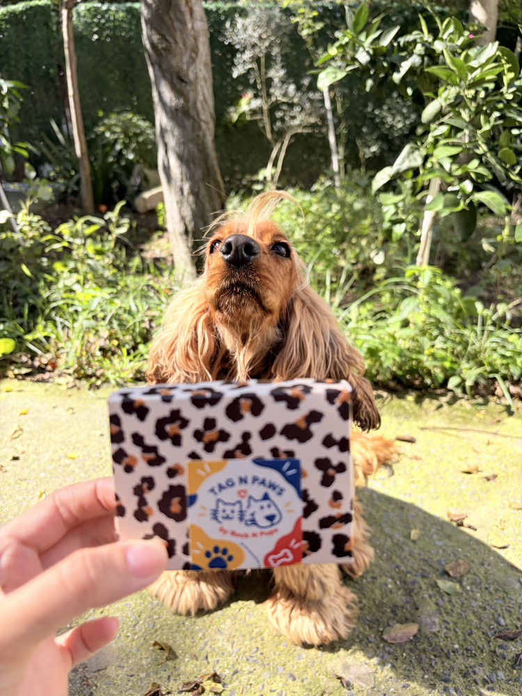 Special Pet Tag