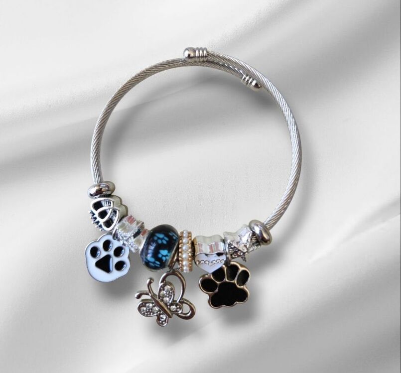 Pandora Çelik bileklik Silver