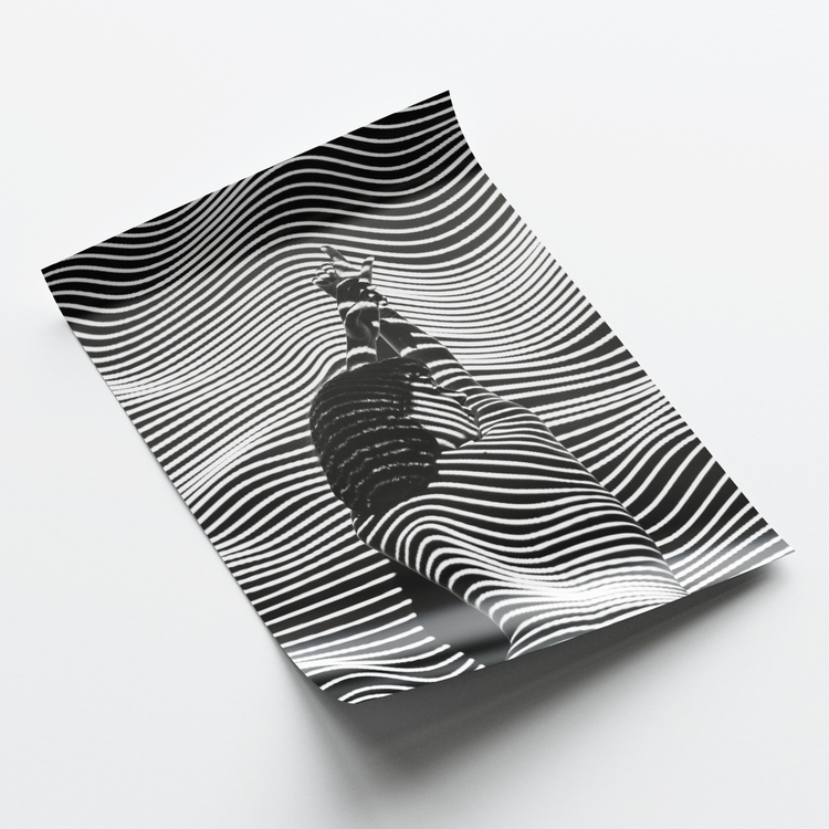 Zebra Efektli Kadın Posteri
