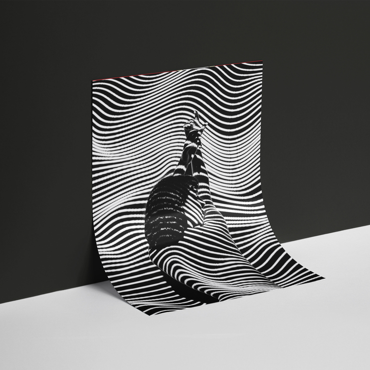 Zebra Efektli Kadın Posteri