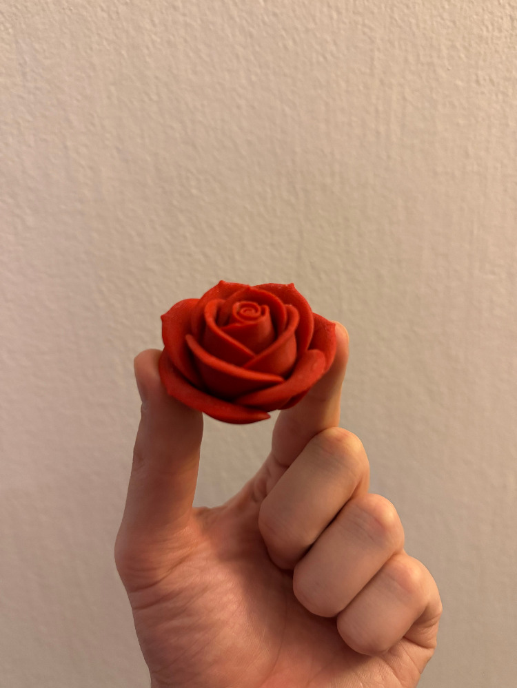 2'li Minimalist 3D Dekoratif Gül Seti