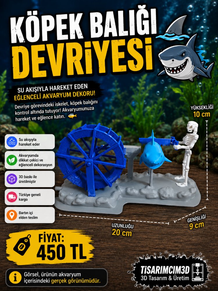 Köpek Balığı Devriyesi 