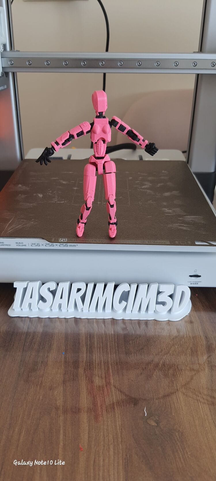 DUMMY 13