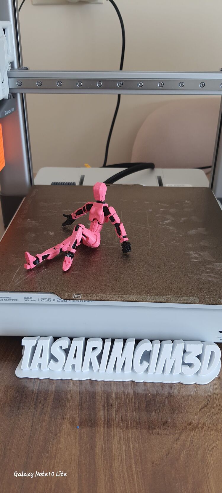 DUMMY 13