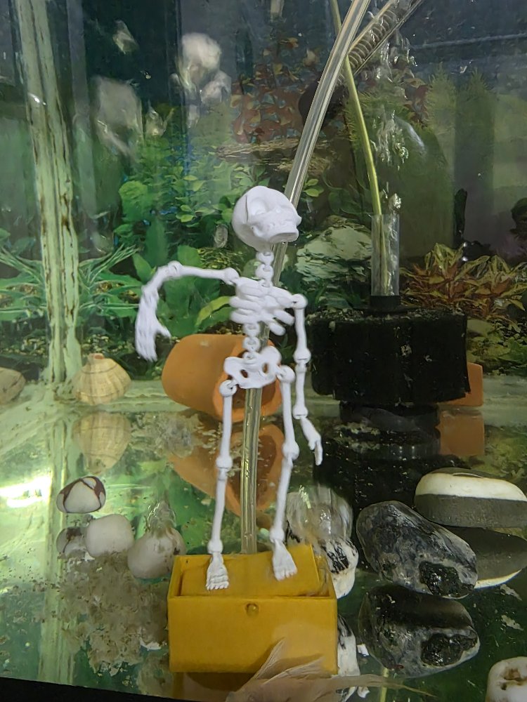 Dansçı İskelet 