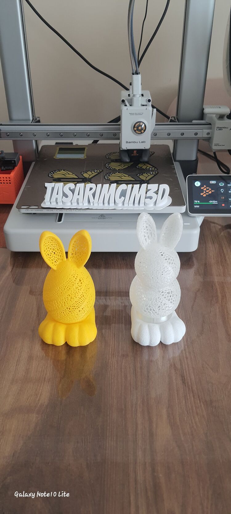 Işıklı tavşanlar 