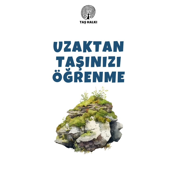 Uzaktan Taşınızı Öğrenme