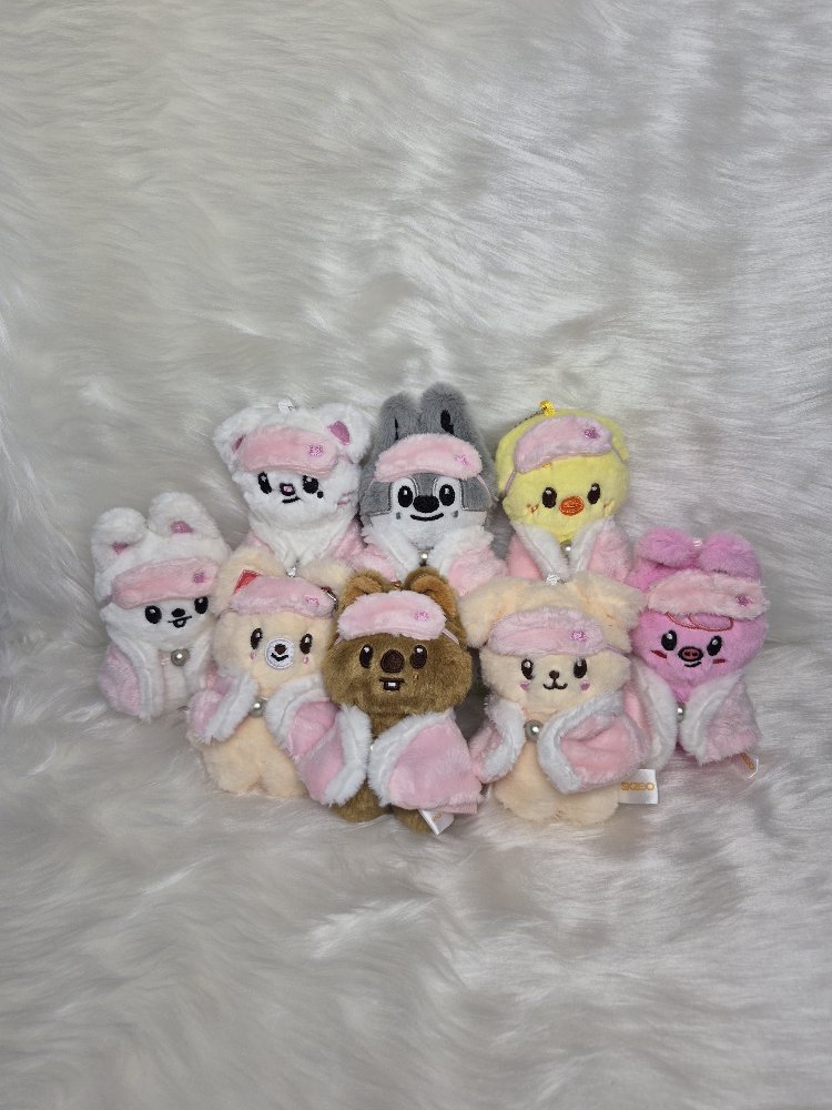 Stray kids Stay in our Little House sleepy collection skzoo plush