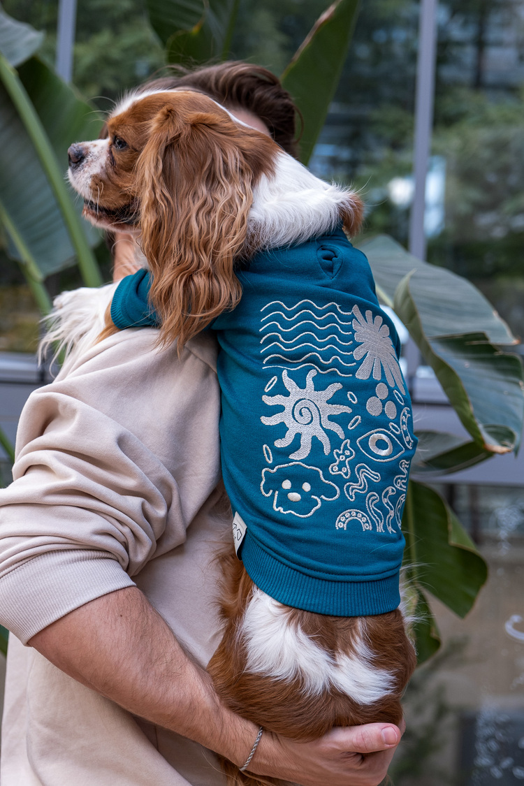 Girift Petrol Sweatshirt