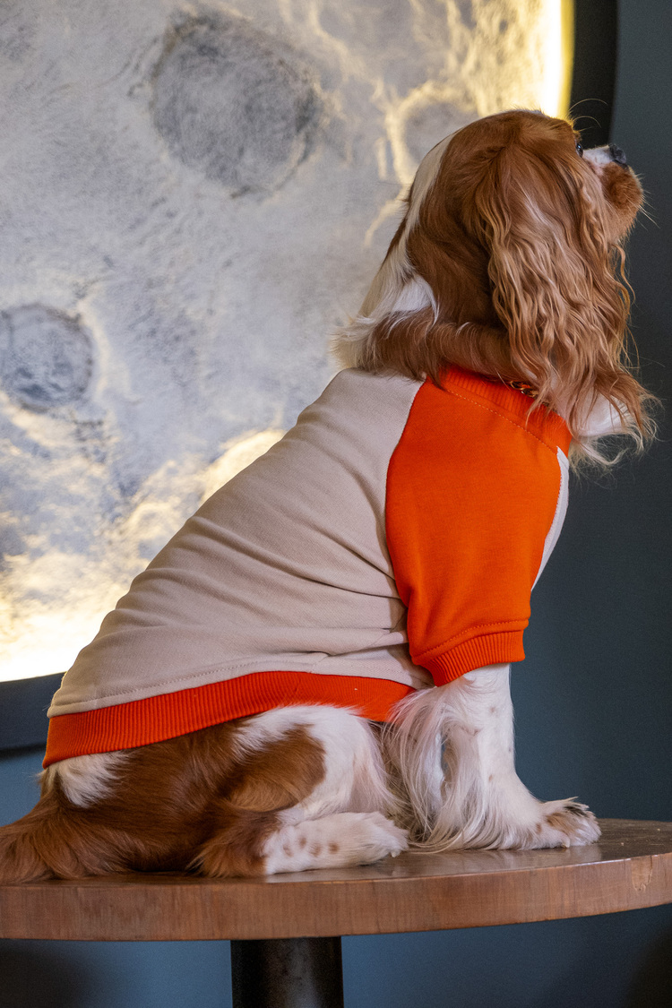   Ekinoks Vizon-Turuncu Sweatshirt