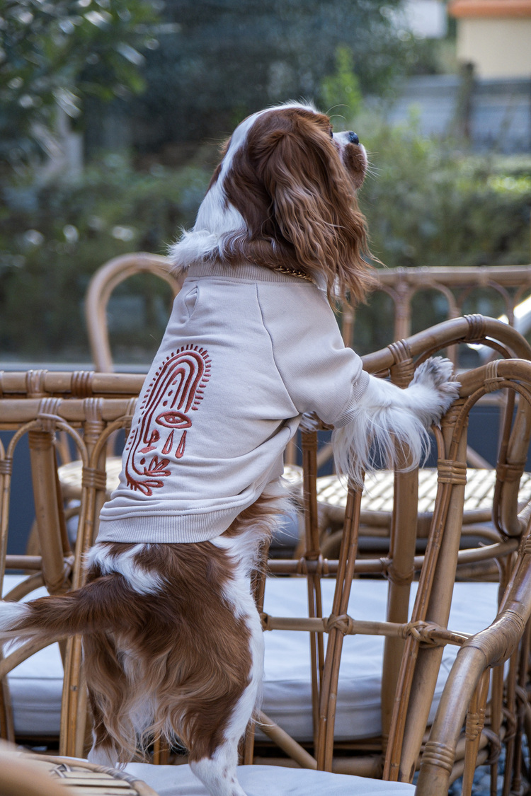 Vera Vizon Sweatshirt