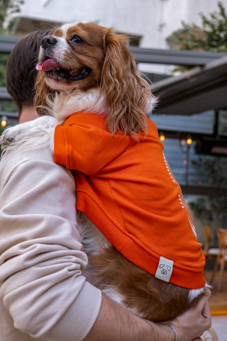 Girift Turuncu Sweatshirt