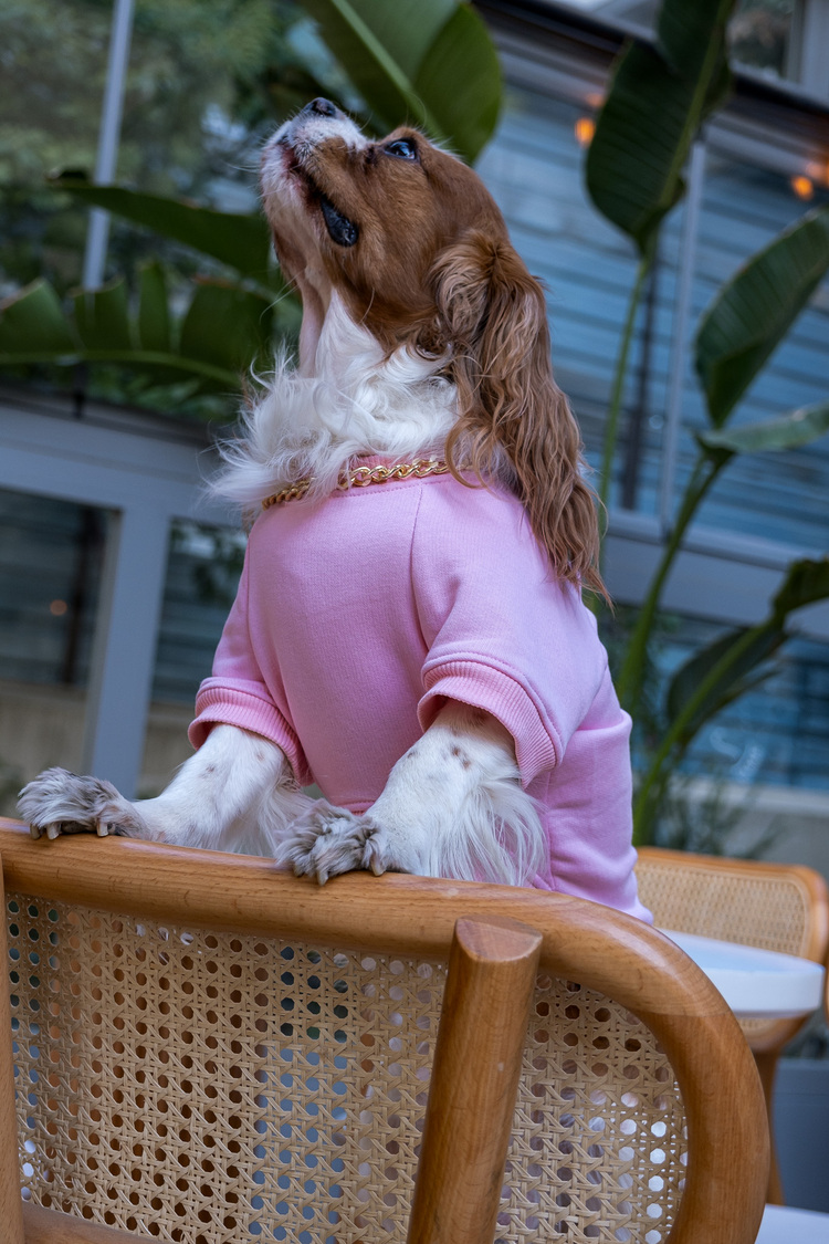 Vera Pembe Sweatshirt