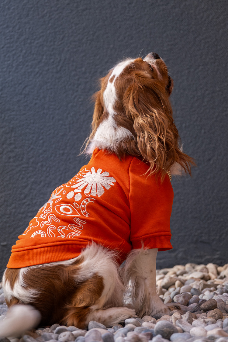 Girift Turuncu Sweatshirt