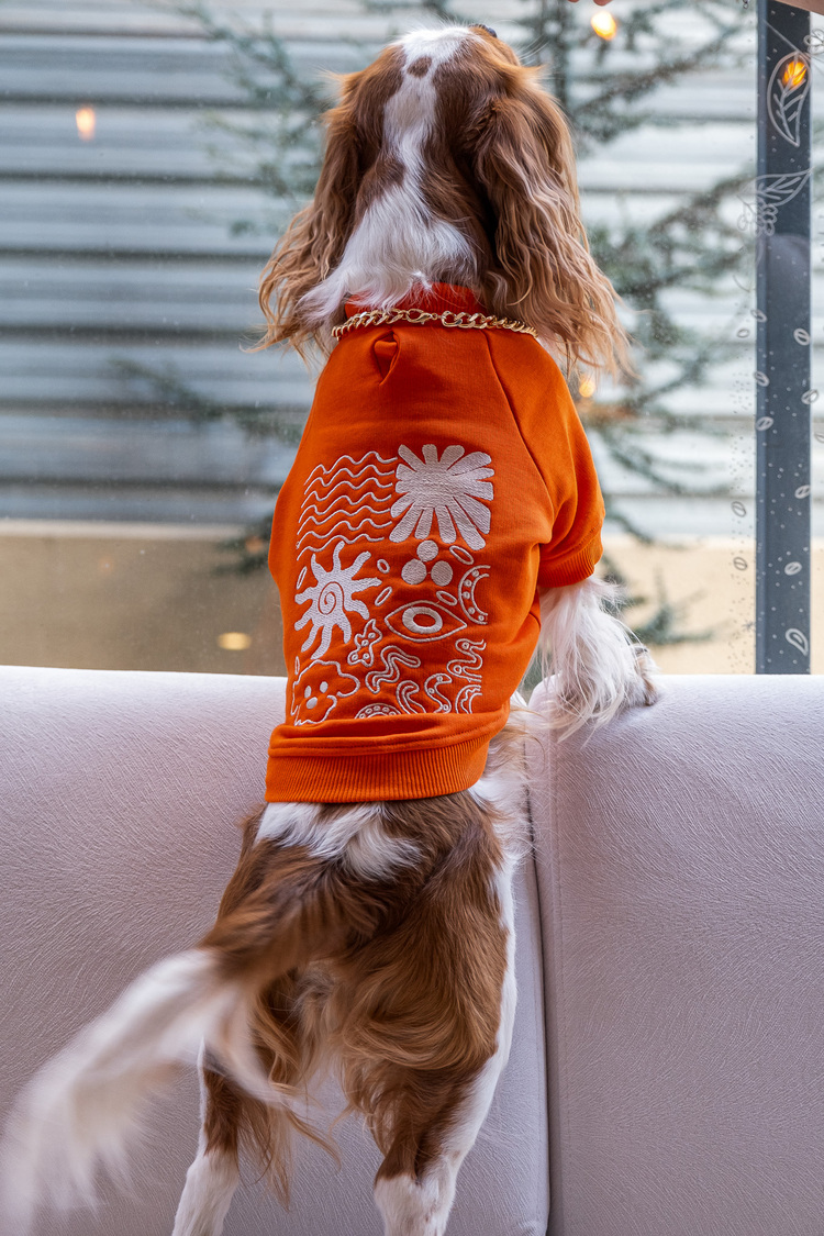 Girift Turuncu Sweatshirt
