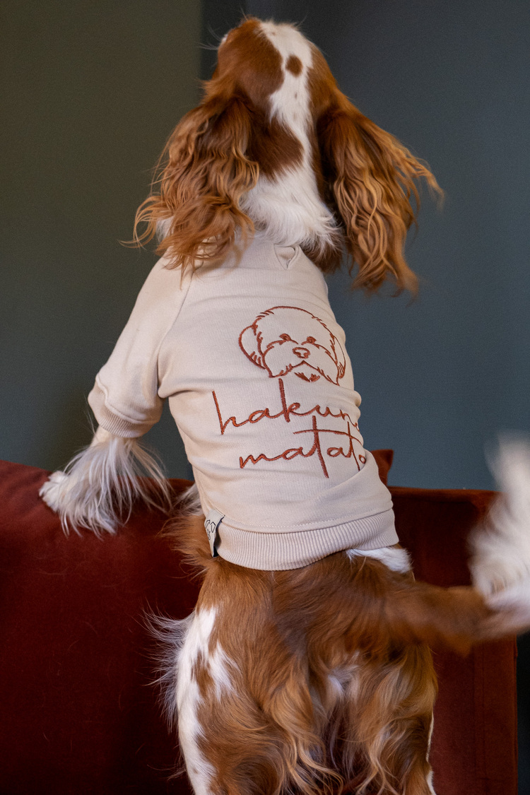 Hakuna Matata Vizon Sweatshirt