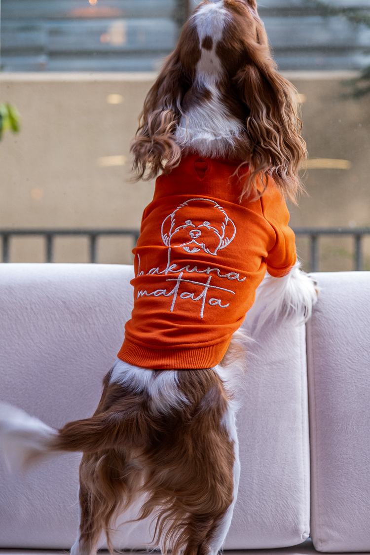 Hakuna Matata Turuncu Sweatshirt
