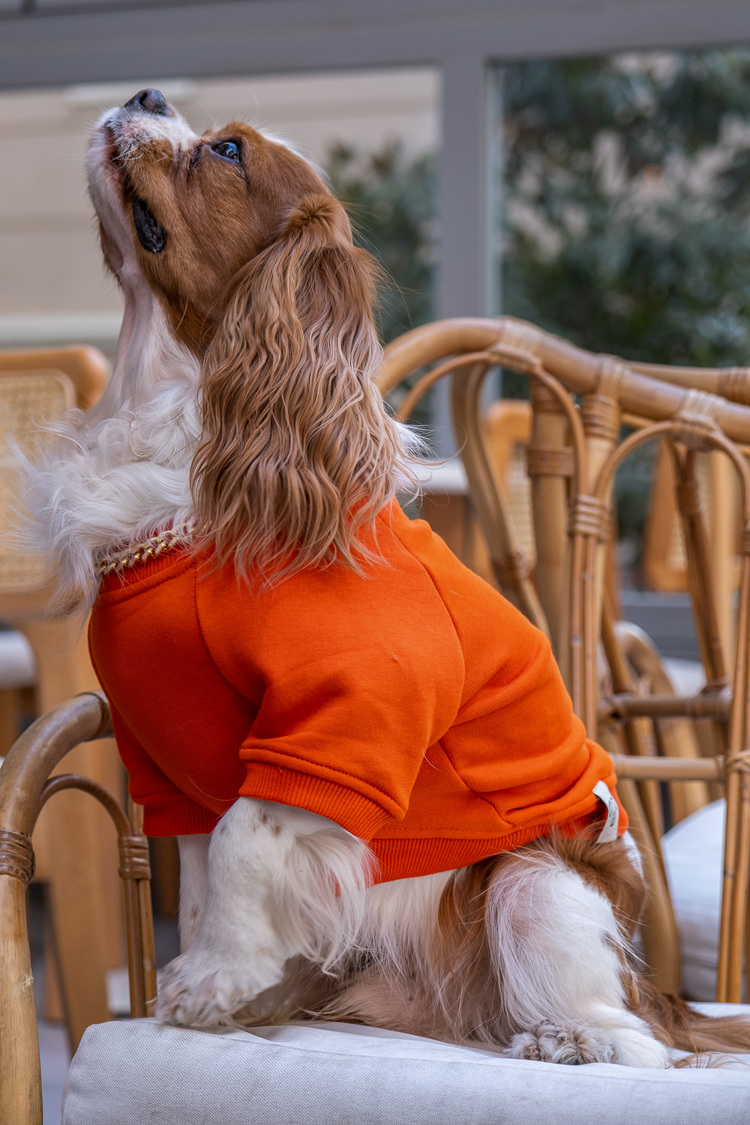     Vera Turuncu Sweatshirt