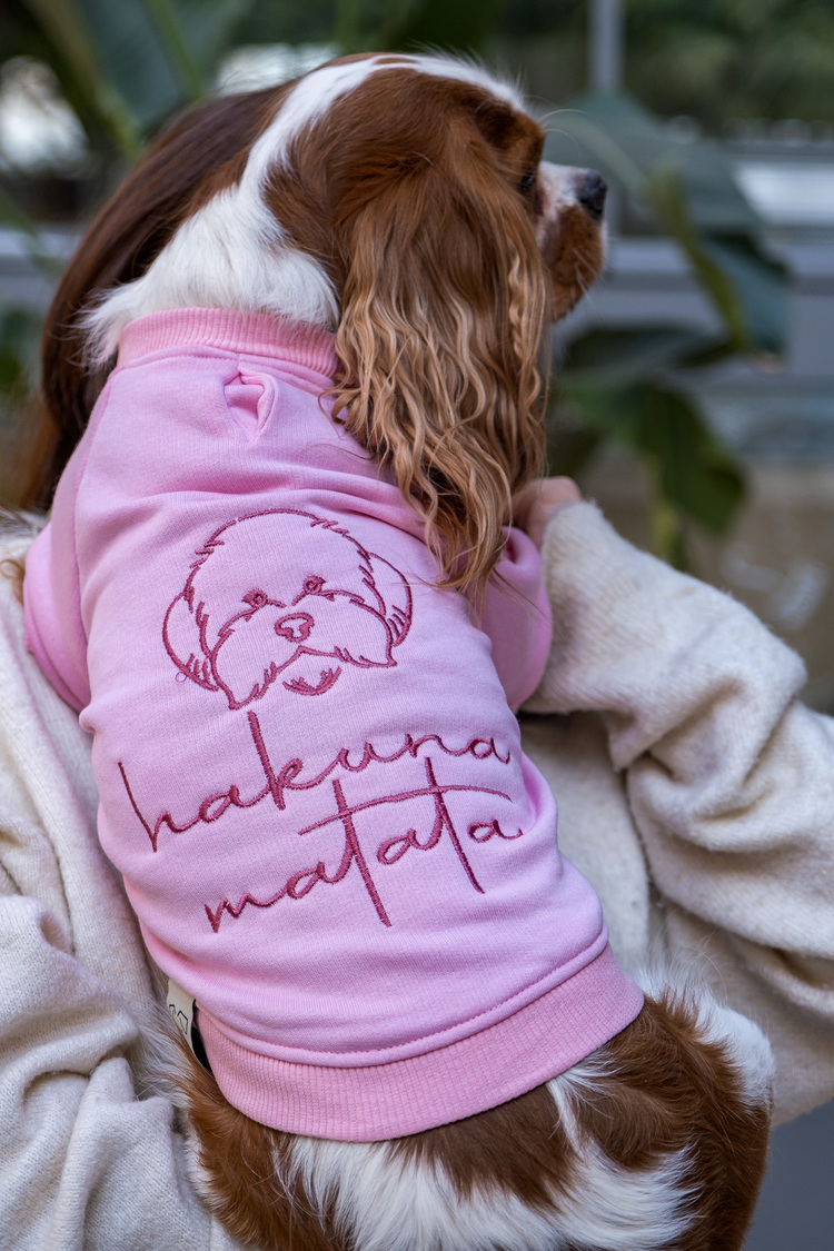 Hakuna Matata Pembe Sweatshirt