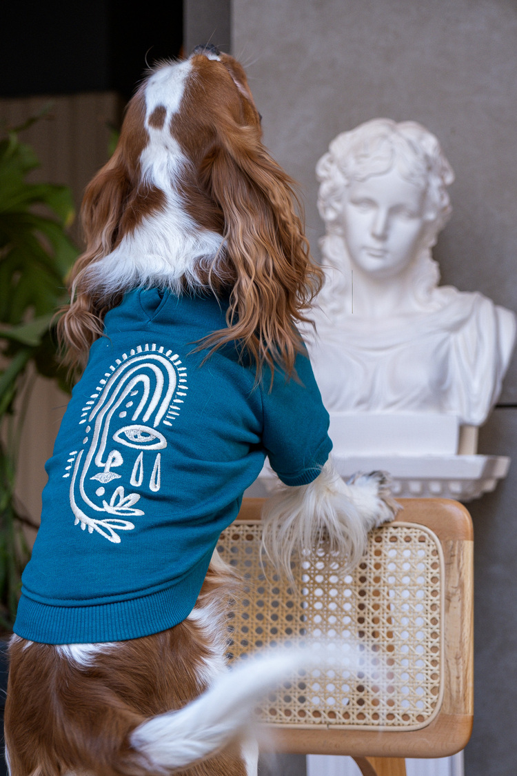Vera Petrol Sweatshirt
