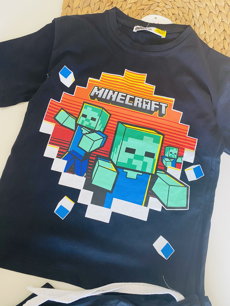 Mine craft karakter takım