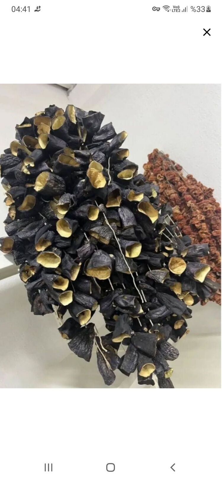 Kuru Patlıcan, (45-50 adet)