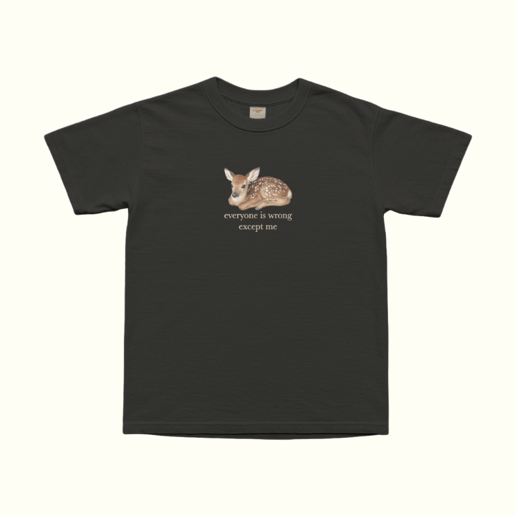 Everyone Is Wrong Except Me T-Shirt