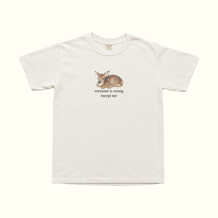 Everyone Is Wrong Except Me T-Shirt