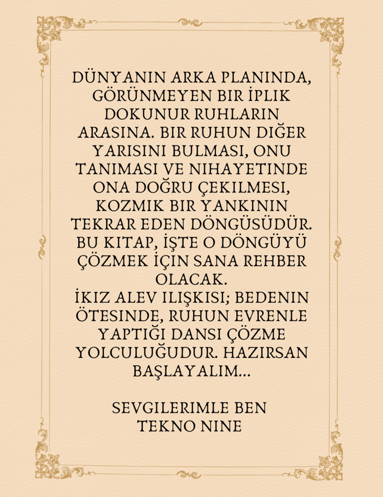 İkiz Alev İlişkiler Çalışma Kitabı