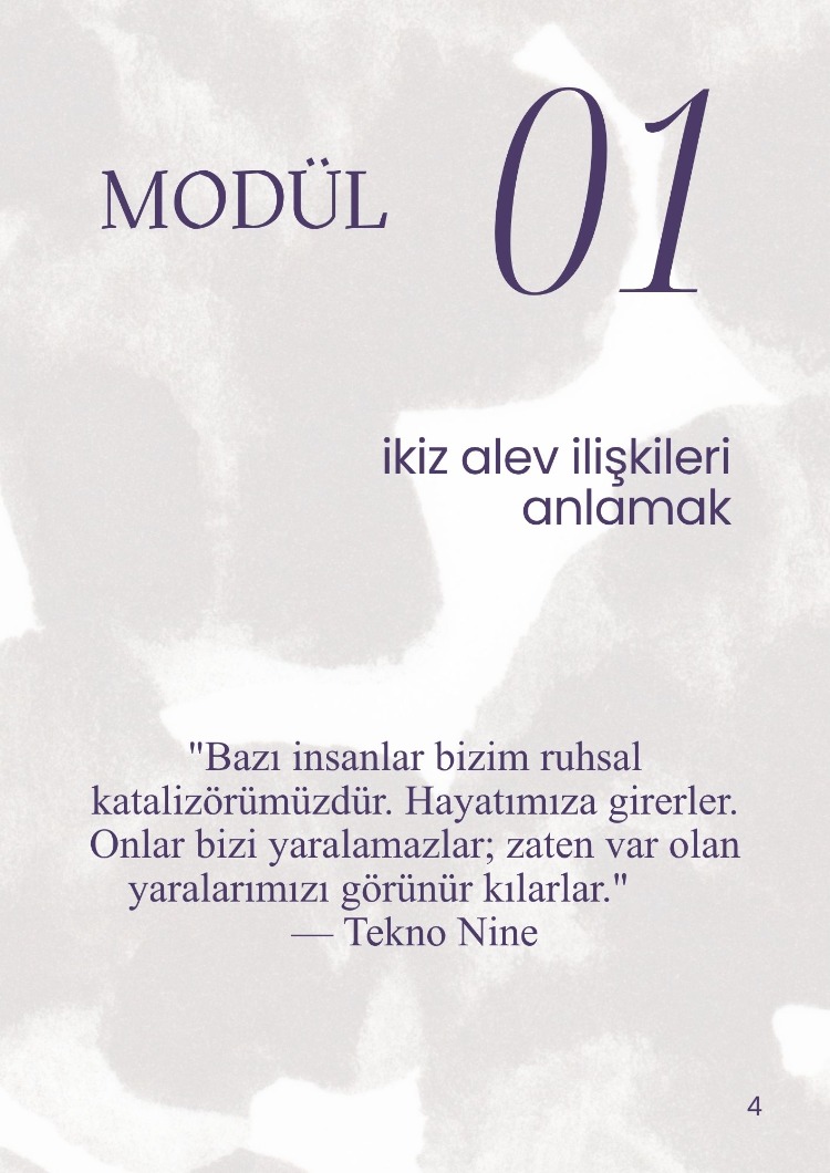 İkiz Alev İlişkiler Çalışma Kitabı 