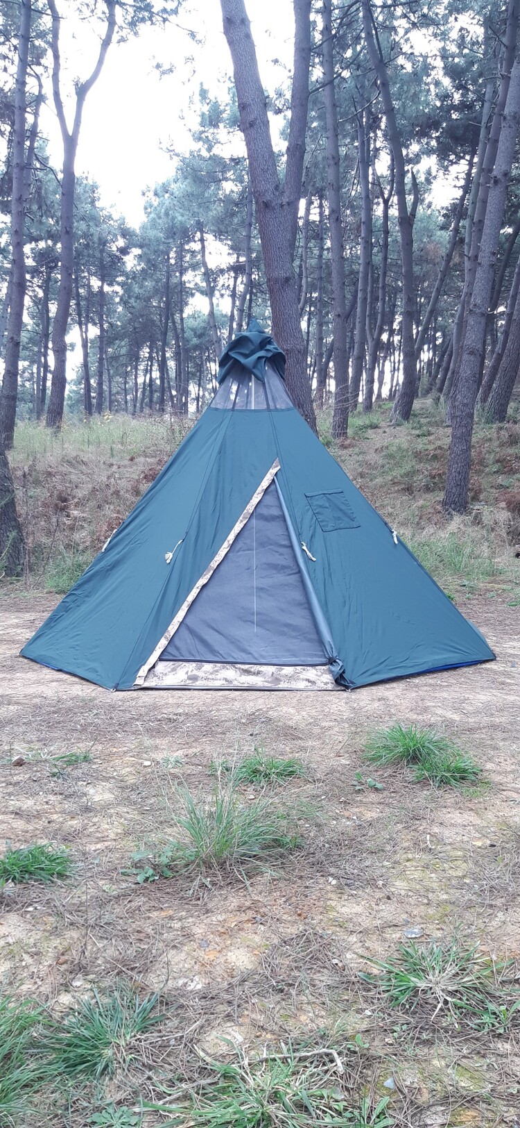 Pro 6-Yeşil